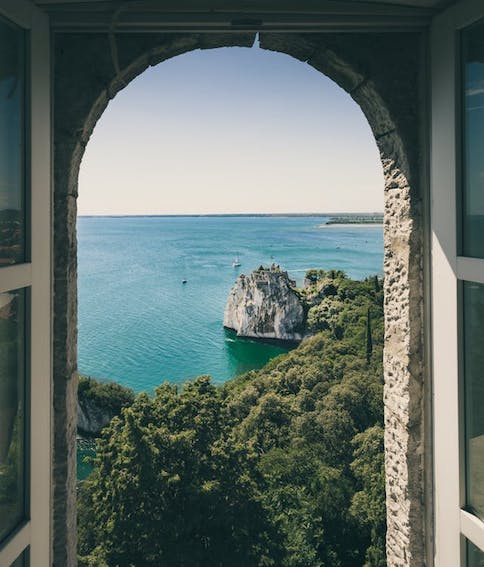 view